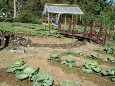 Hoy se inaugura la Feria de San Sebastián de Ocú