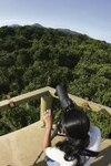 Verdes senderos de Gamboa