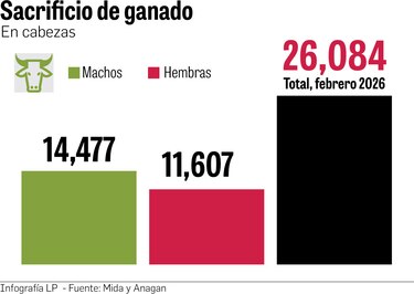 El hurto organizado devora el hato ganadero en Panamá