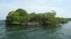 Sinaproc rescata a extranjera que estaba desaparecida en isla Bastimentos