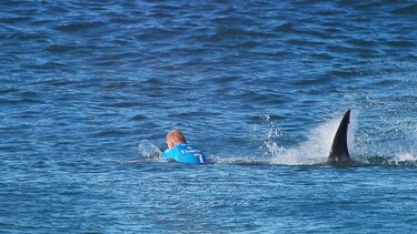 Un surfista australiano sobrevive al ataque de un tiburón