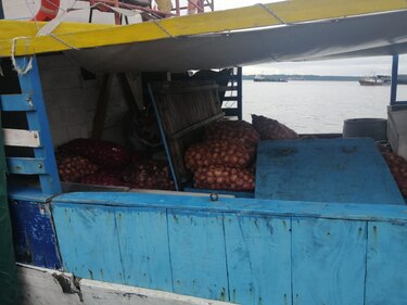 Retienen embarcación colombiana en Colón por posible contrabando de cebollas