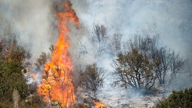 Incendios en California destruyen casi 100 viviendas