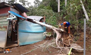 Unos 25 árboles caídos tras fuertes vientos en La Chorrera