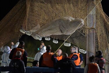 Rescatistas franceses extraen del río Sena a la beluga extraviada