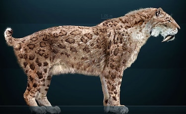Descubren huellas fosilizadas de tigre dientes de sable en Argentina