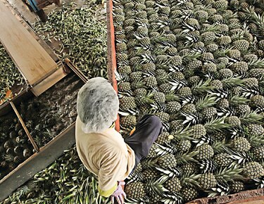 73% de exportadores en AL aumentará sus inversiones