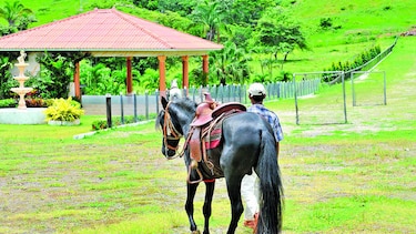 Dictarán curso en línea de agroturismo