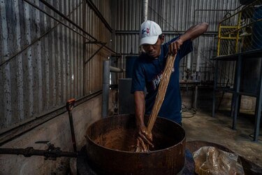 El exitoso emprendimiento hondureño que logró convertir el aceite de cocina usado en jabón y comida para perros