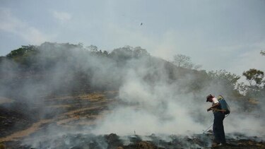 MiAmbiente: más de mil hectáreas afectadas por incendios en Los Santos