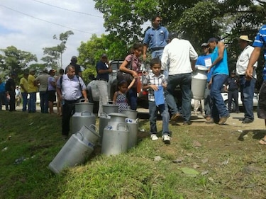 Arroceros dan plazo de dos meses al IMA para la compra de arroz