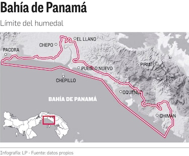 Proyecto de ley: ¿se permitirá la pesca industrial en humedal bahía de Panamá?