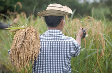 Aumentar cobertura en el agro, la nueva meta del ISA