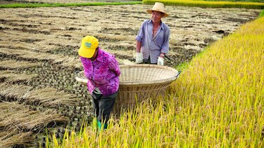 Extenderán programa para apoyar a pymes