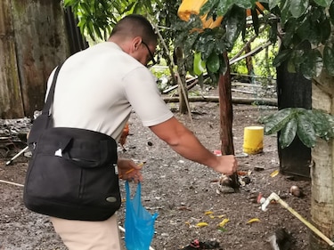 Detectan dos nuevos casos de virus hanta en la provincia de Los Santos