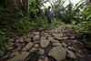 La ruta que nos devuelve al mundo