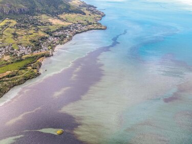 Movilización en isla Mauricio ante amenaza de marea negra