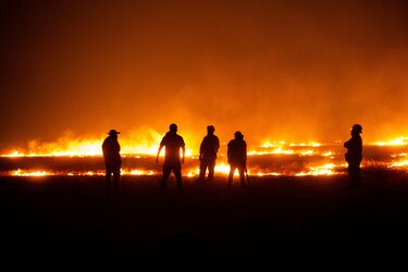 Chile contabiliza 360,000 hectáreas devastadas