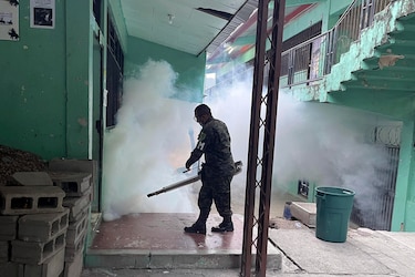 Honduras se prepara para enfrentar una posible epidemia de dengue más agresiva en 2024 que la ocurrida en 2019