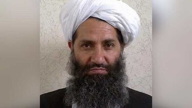 Líder de los talibanes en Afganistán pide a combatientes 'sembrar árboles para cuidar la naturaleza'