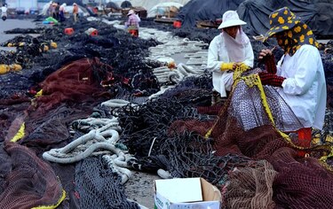 El tifón 'Soudelor' causa 12 muertos y 5 desaparecidos en China