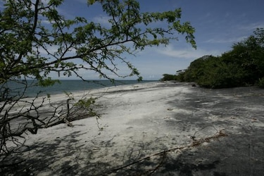 Refugio silvestre de Juan Hombrón convivirá con operaciones del Senan