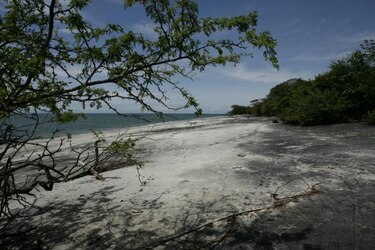 Refugio silvestre de Juan Hombrón convivirá con operaciones del Senan