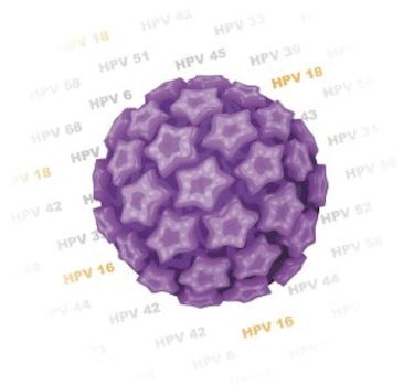 10 mitos sobre la transmisión del virus del papiloma humano