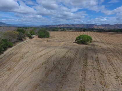 Contaminación por plaguicidas pone en peligro los ríos Chiriquí Viejo, Chagres y Tonosí
