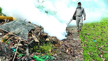 Realizan operativo de fumigación en Tocumen