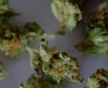 Reglamentan el uso medicinal del cannabis