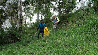 La verdadera historia detrás de la ‘ciudad perdida’ de la Amazonía
