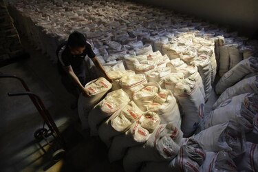 Gobierno japonés comprará todo el arroz afectado por radiaciones