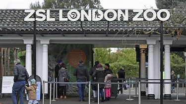 Reabre zoológico de Londres tras incendio