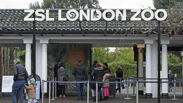 Reabre zoológico de Londres tras incendio