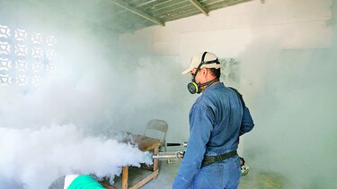 Sosa: ‘se refuerza relación virus zika con microcefalia’