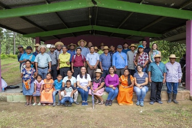 Incentivo de reforestación