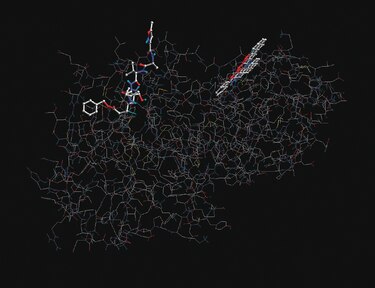 Crean molécula que inhibe el SARS-CoV-2