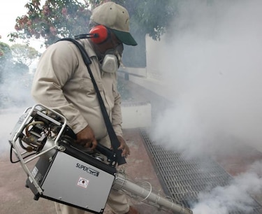 Detectan personas con virus de 'chikungunya'