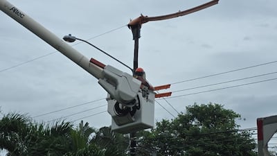 Naturgy mantiene trabajos para restablecer el servicio eléctrico tras fuertes tormentas