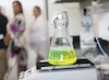Senacyt advierte riesgo de cierre de centros de investigación por falta de fondos
