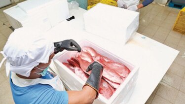 Exportadores locales buscan mercado en Chile