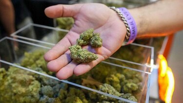 Trump amplía el acceso a la marihuana en el mayor cambio de la política de drogas de Estados Unidos en décadas
