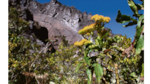 De vuelta al volcán