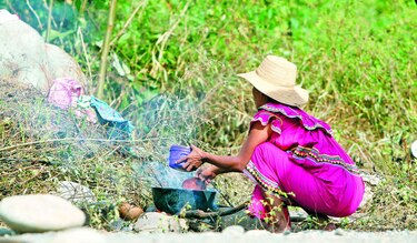Cero hambre, una meta por lograr
