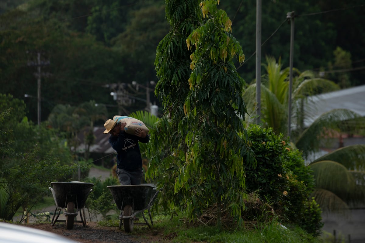 Los pueblos empapados de pobreza que caminan entre montañas ricas en oro y cobre