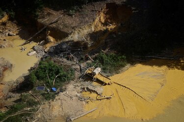 Los gráficos, mapas y fotos que muestran la lenta muerte de la Amazonía y por qué el mundo debería preocuparse