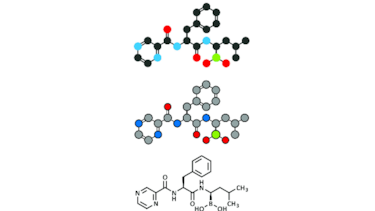 Claves bioquímicas para nuevas drogas