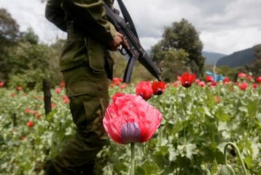 EU está perdiendo la guerra contra narcotráfico, admiten militares