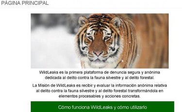 WildLeaks, un sitio web para denunciar a los cazadores furtivos